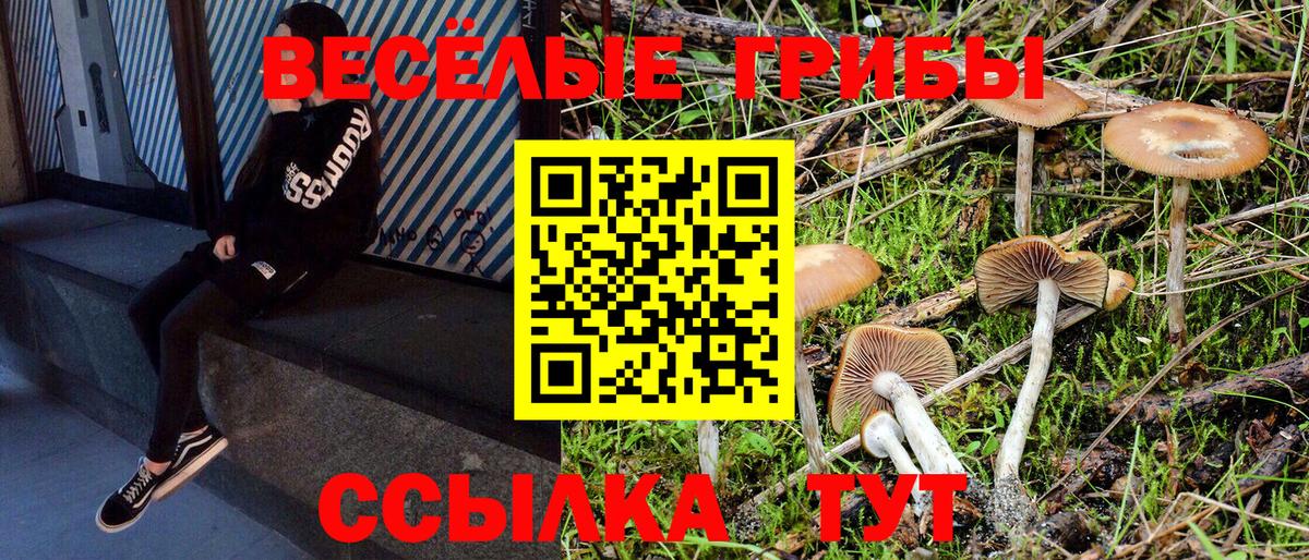 где продают   Вход с VPN  Чита  Псилоцибиновые грибы MAGIC MUSHROOMS  Псилоцибиновые грибы MAGIC MUSHROOMS 
