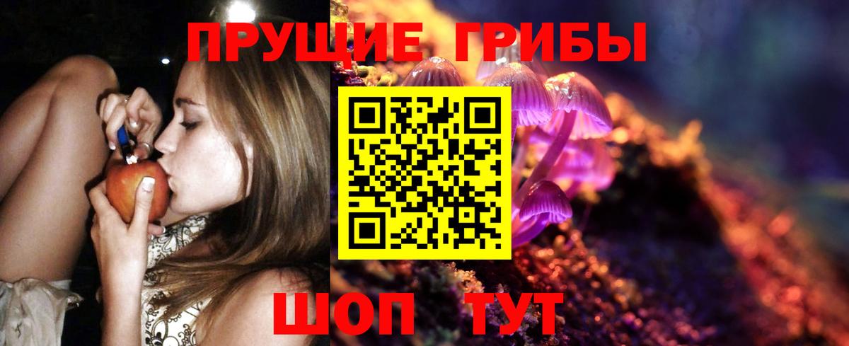 Псилоцибиновые грибы мухоморы Чита